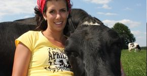 Blog: Teambuilding...