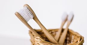 Tandartsenpraktijk Garderen bezoekt verzorgingstehuizen op Nationale Ouderendag