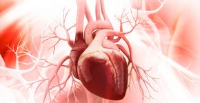 NVVC: ‘Minstens 150.000 hartpatiënten missen zorg door coronacrisis’