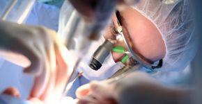 Even shoppen bij eBay: menselijk botmateriaal uit de VS zonder volgcode